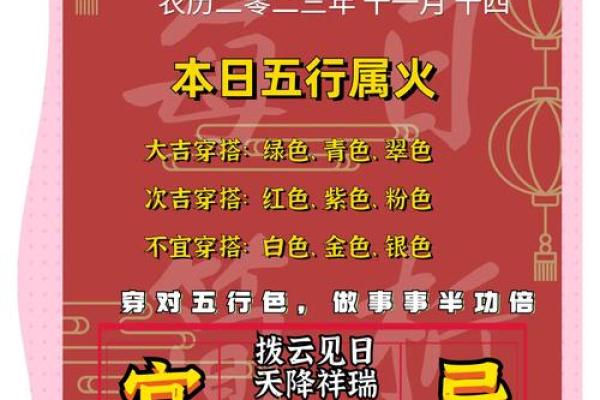 2023年兔子五行属性解析属什么运势如何