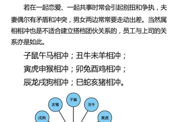 1999年属兔和属龙的相配吗_1999兔年配龙年属兔与属龙婚恋相合度解析