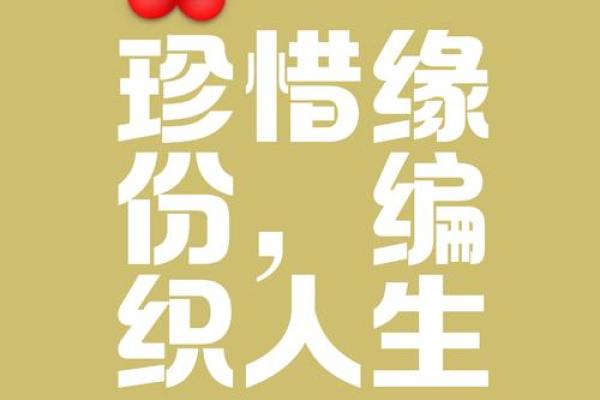 缘分圈 世纪佳缘交友缘分圈