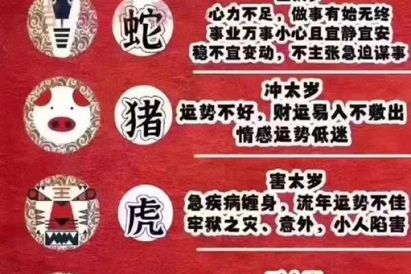 2025年生肖猪冲太岁 属猪的哪些年份犯太岁