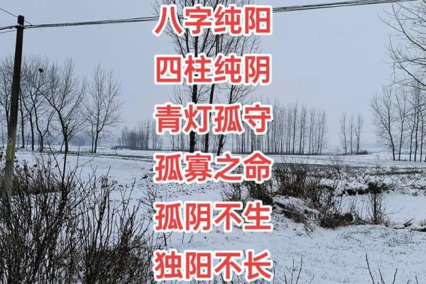 生辰八字纯阴纯阳查询_生辰八字纯阴纯阳查询揭秘命运玄机