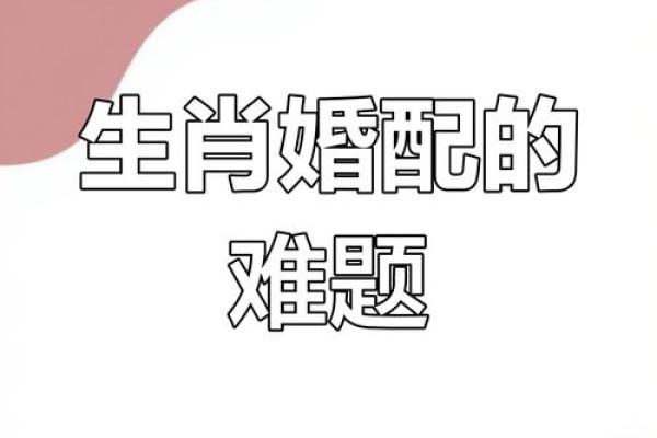 1970年属狗的最佳婚配_73年属牛的婚姻配对最佳
