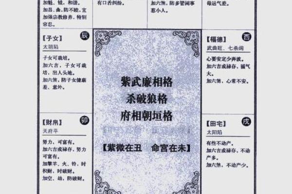 2025年2月28日寅时男命紫微斗数全解盘