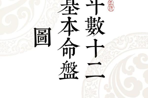 2025年2月28日寅时男命紫微斗数全解盘