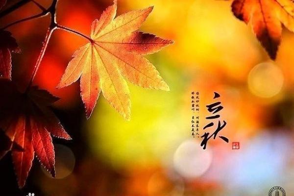 2018年立秋