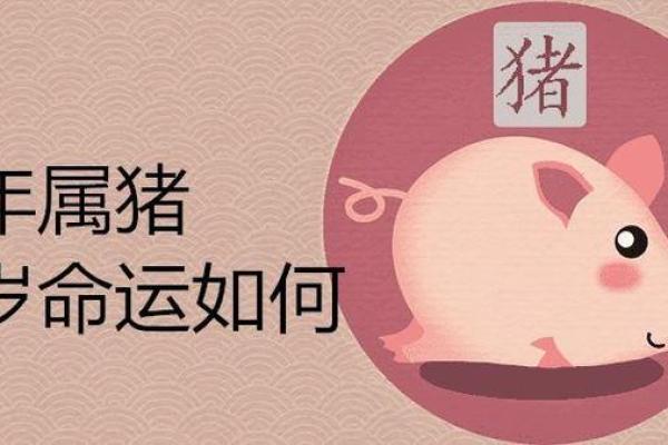 83年属猪的女人2025年运势怎么样_2025年83年属猪女人运势详解财运感情健康全解析