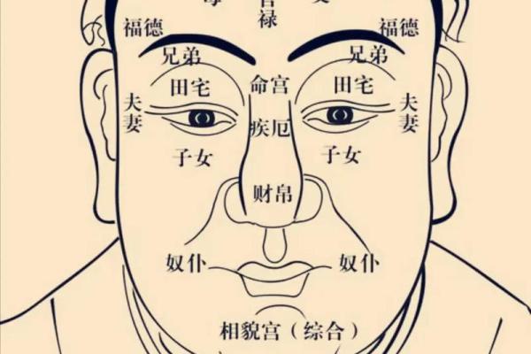 2025年3月19日丑时女命紫微斗数全解盘