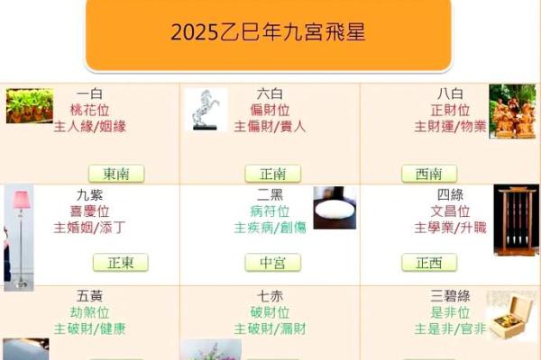 院子里动土有什么讲究(哪些行为算动土)