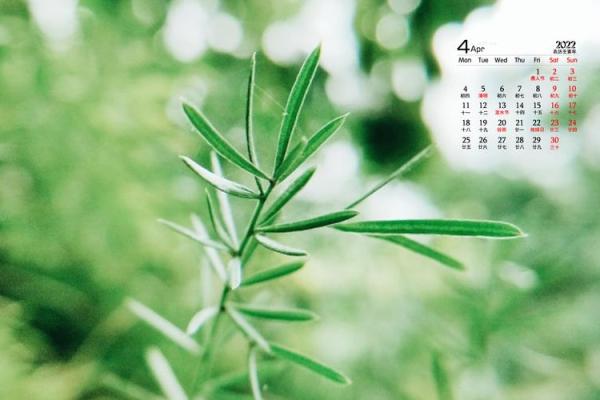 打开2022年4月日历