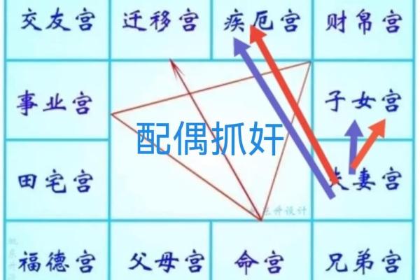 2025年2月21日丑时女命紫微斗数全解盘