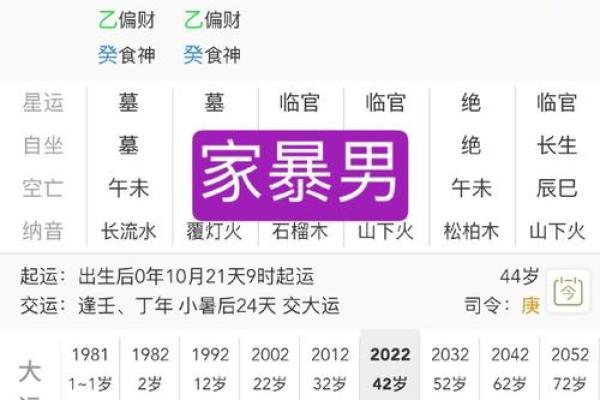 夫妻宫比肩_夫妻宫比肩女命