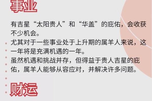 1979年属羊人2024年运势及运程_1979年属羊人2024年运势详解运程走向与吉凶预测