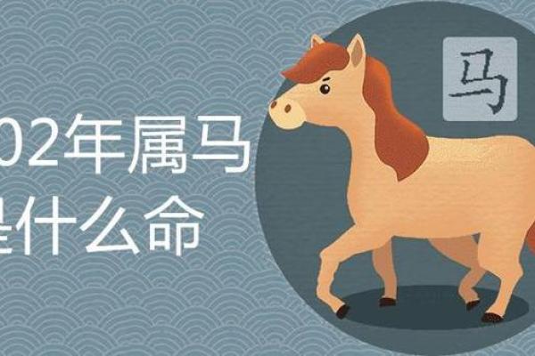 1942属马的今年多大了_2023年1942年属马人年龄解析最新周岁计算与农历月份对照