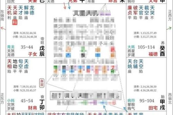 2025年3月3日子时女命紫微斗数全解盘
