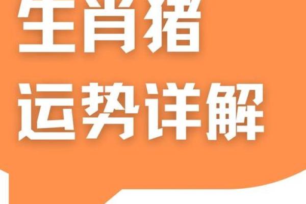 属猪2025多少岁_2025年属猪人年龄揭秘你今年几岁