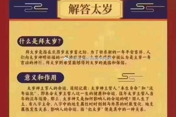 2025年生肖猪冲太岁_2025年生肖猪冲太岁戴什么吉祥物好