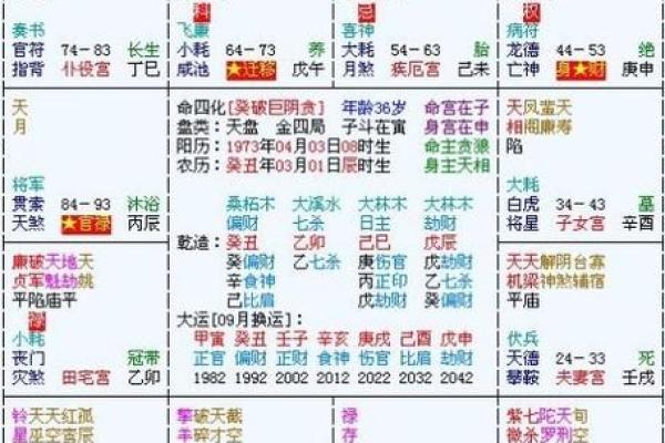 2025年3月30日丑时男命紫微斗数全解盘