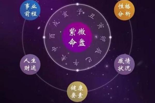 2025年3月8日子时女命紫微斗数全解盘