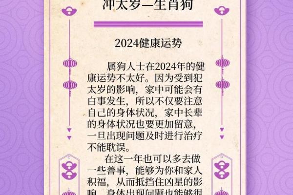 属狗2024年运势及运程1982年出生_1982年属狗人2024年运势详解事业财运健康全解析