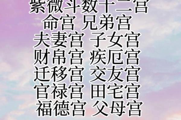2025年2月15日丑时男命紫微斗数全解盘