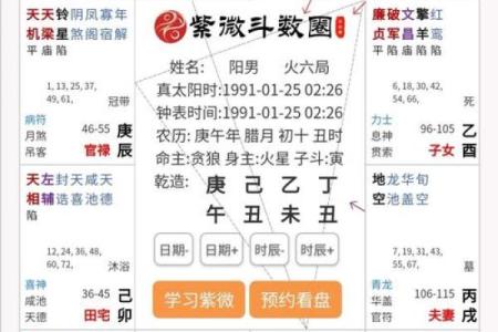 2025年2月25日丑时女命紫微斗数全解盘