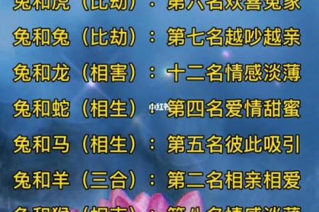 生肖合婚最佳配对表