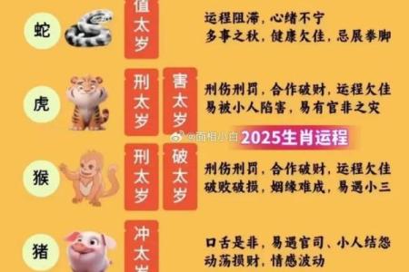 2025年属猪全年运势详解财运事业爱情全面解析