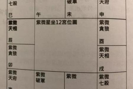 2025年3月22日丑时女命紫微斗数全解盘
