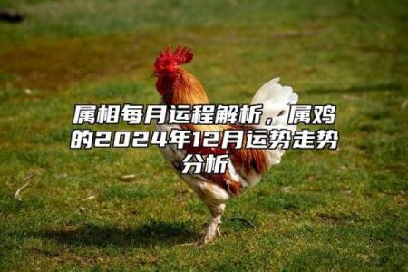 81年属鸡人在2024年的全年运势 81年属鸡人在2024年的全年运势五月初七