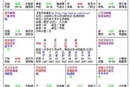2025年3月13日丑时男命紫微斗数全解盘