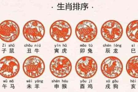 属鸡年份表和年龄 属鸡年份表和年龄和属性是什么