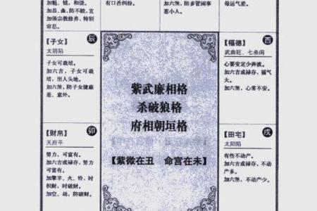 2025年2月28日寅时男命紫微斗数全解盘