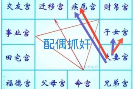 2025年2月21日丑时女命紫微斗数全解盘