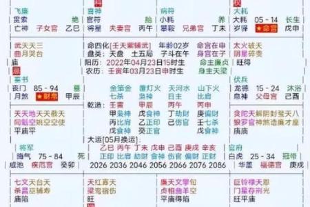 2025年3月16日子时女命紫微斗数全解盘