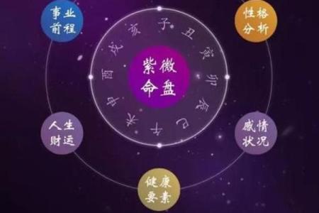 2025年3月8日子时女命紫微斗数全解盘