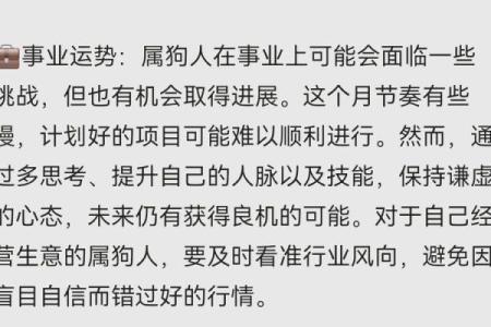属狗2024年运势及运程1982年出生_1982年属狗人2024年运势详解事业财运健康全解析