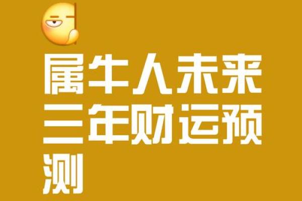 属牛人2013年运势