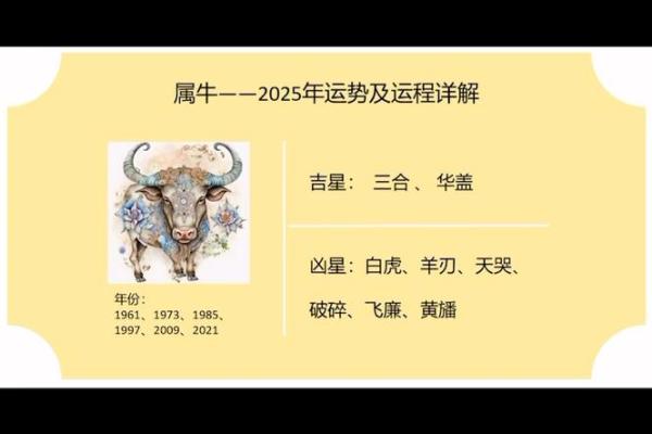 属牛人2013年运势