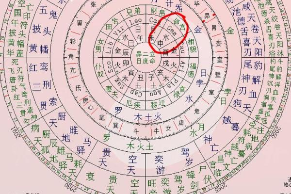 2025年2月18日子时女命紫微斗数全解盘