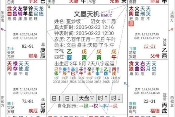 2025年2月26日子时女命紫微斗数全解盘