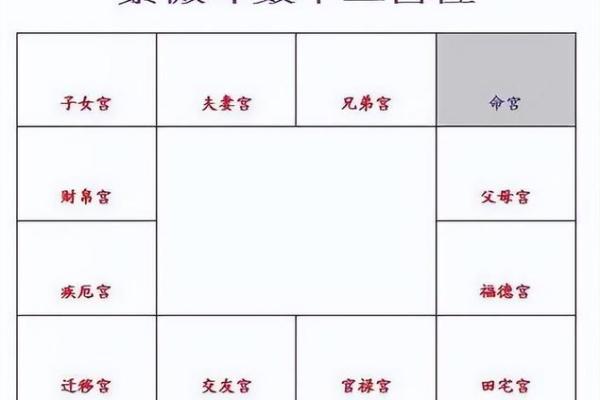 2025年2月26日子时女命紫微斗数全解盘