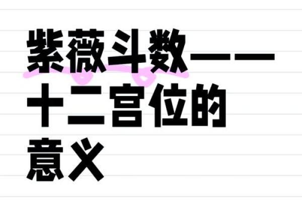 2025年3月12日寅时女命紫微斗数全解盘