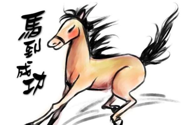 属马2019年运势