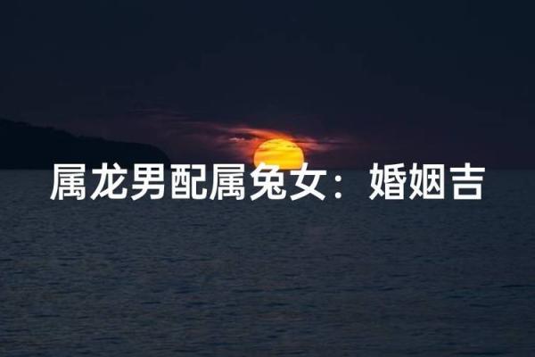 男属兔女属龙婚配合适吗_男属兔女属龙婚配合适吗生肖配对解析