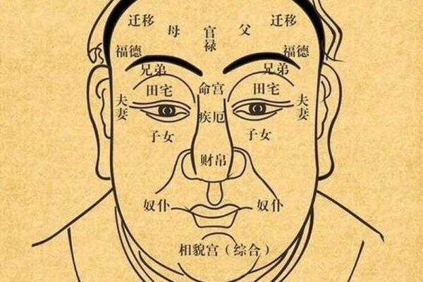 福德宫代表什么_福德宫代表什么意思