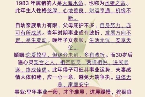79岁属猪人2025年运势详解健康财运感情全解析