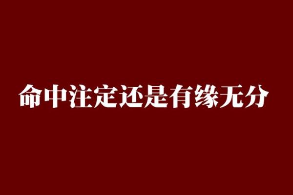 两个人的缘分是命中注定的吗_两人的缘分由什么决定的