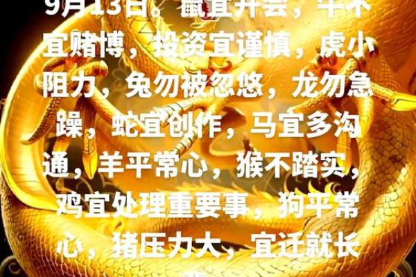 属鼠人2013年运势