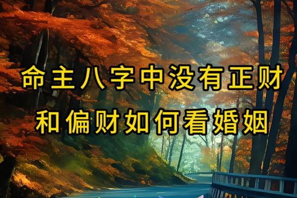 生辰八字免费算姻缘_免费生辰八字测算姻缘精准预测你的爱情运势