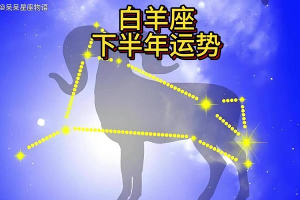 白羊座的幸运数